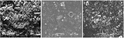 Development and evaluation of pH sensitive semi-interpenetrating networks: assessing the impact of itaconic acid and aloe vera on network swelling and cetirizine release